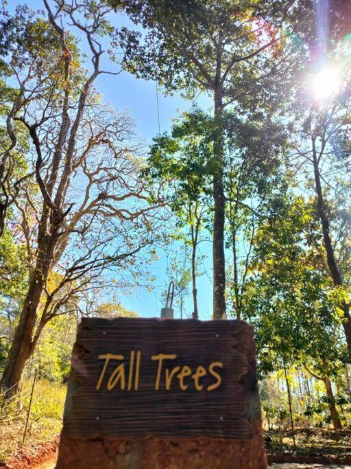 Tall Trees - Modern Forest Villa In Wayanad Sultan Bathery Bagian luar foto