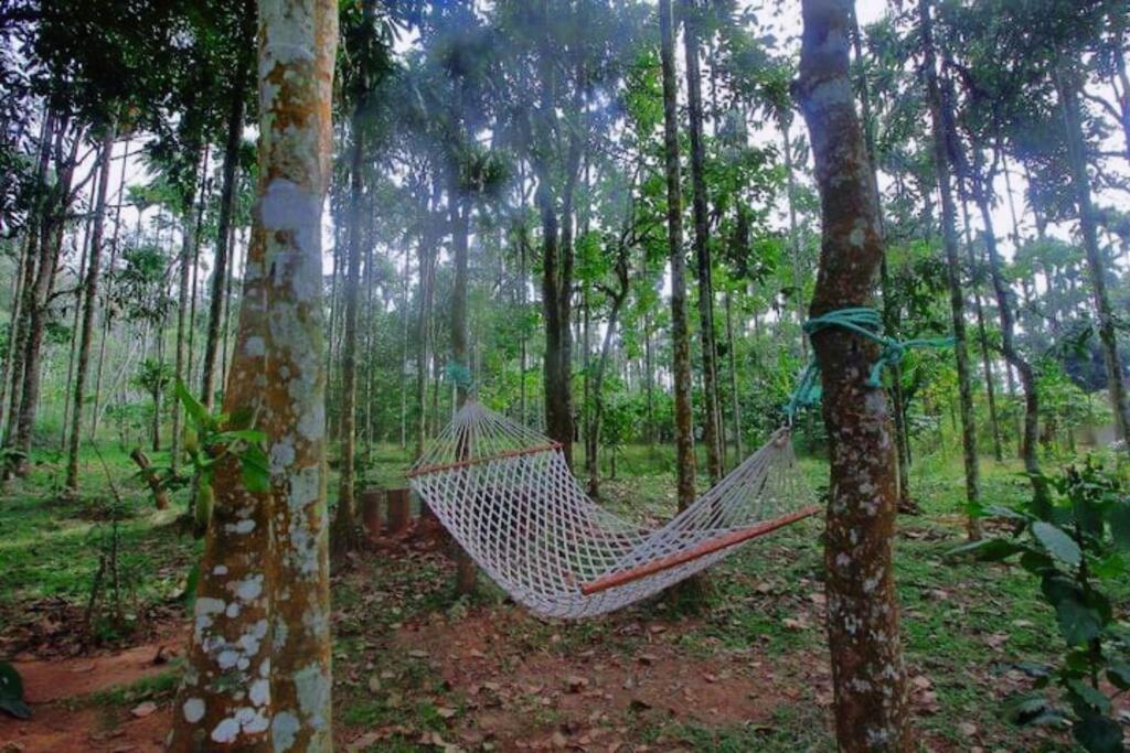 Tall Trees - Modern Forest Villa In Wayanad Sultan Bathery Bagian luar foto