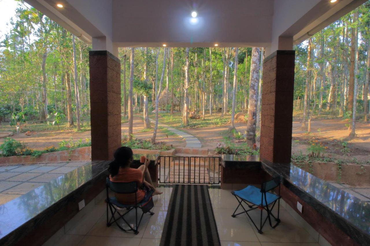 Tall Trees - Modern Forest Villa In Wayanad Sultan Bathery Bagian luar foto